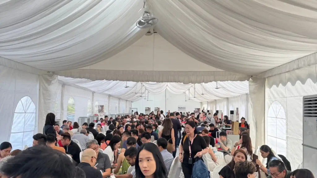 Skye at Holland preview